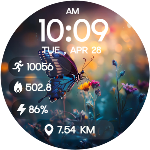 Floral Butterfly Watch Face