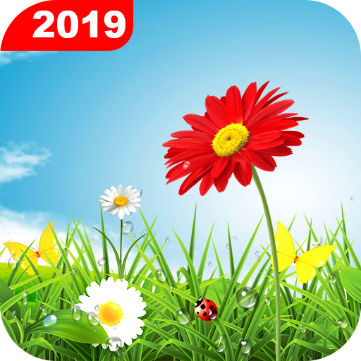 Green Grass Live Wallpaper HD