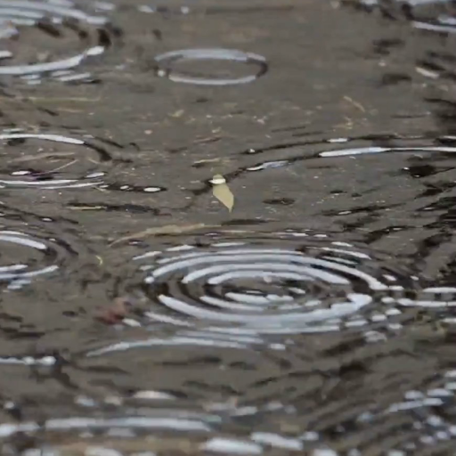 3d Rain Live Wallpaper