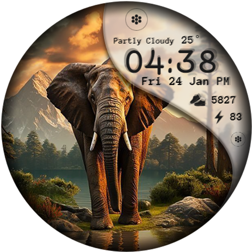 Cool Wild Animals Watch Face