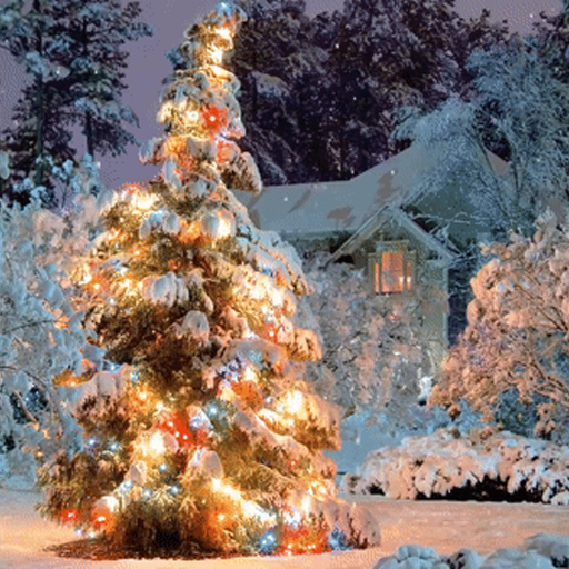 Merry Christmas Moments