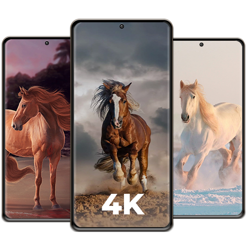 Horse Wallpapers 4K - HD