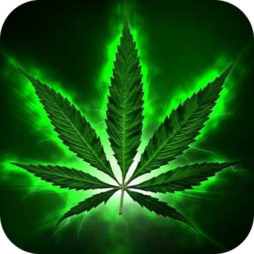Weed Wallpaper: 4K live