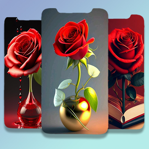Red Rose Wallpaper : Flowers