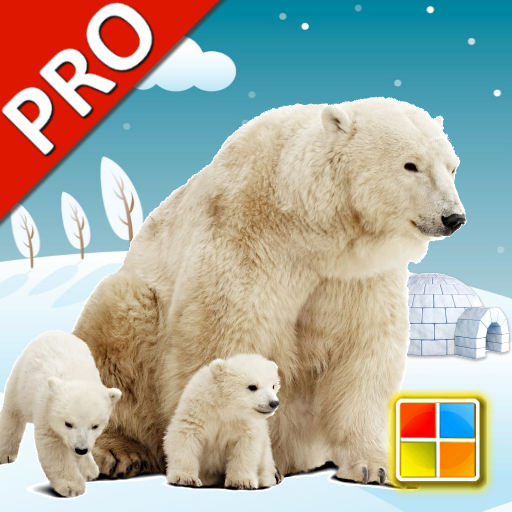 Animals Flashcards PRO