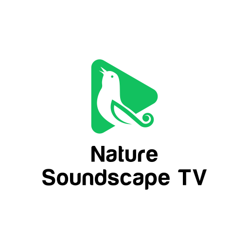 Nature Soundscape 4K TV