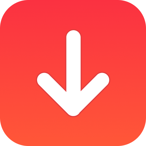 Story Saver - Video Downloader
