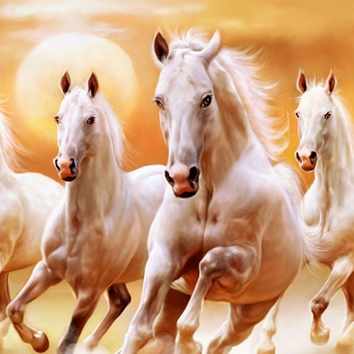 Horse Wallpaper HD