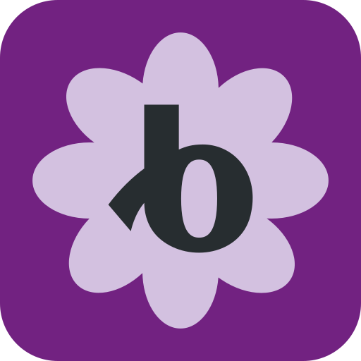 Bloomerang Volunteer