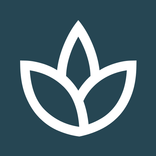 Reflect & Grow: Intentra