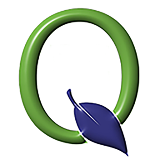 Q Mobile 2024