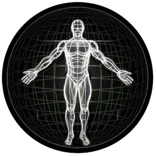 BodBot AI Workout Planner