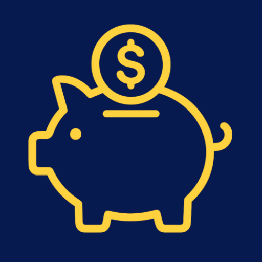 Budget & Expense Tracker Pro