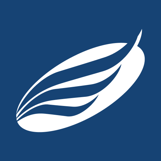 American Eagle FCU