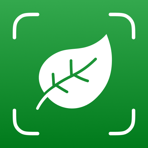 Plant Identifier - Plantium