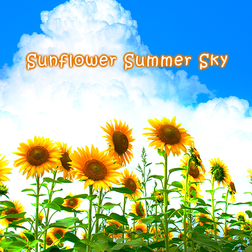 Sunflower Summer Sky Theme