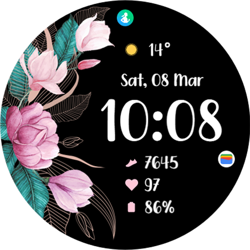 TVV Spring 2 Watch Face