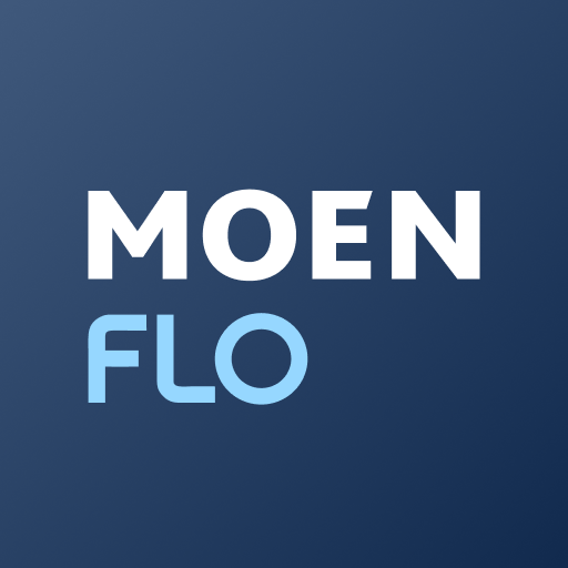 Moen Flo