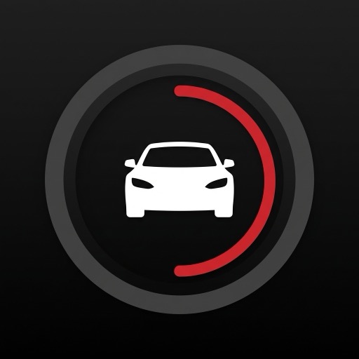 Tesla DashCam Viewer