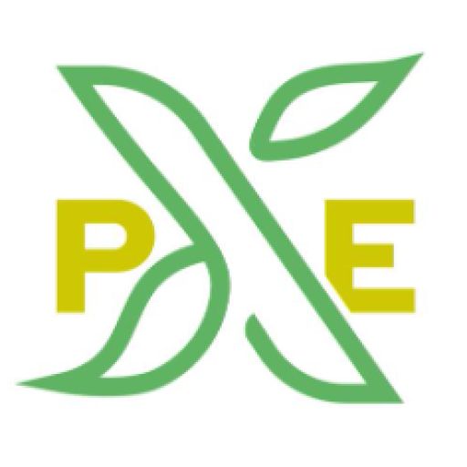 Produce Experience