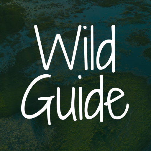 WildGuide: Pantanal