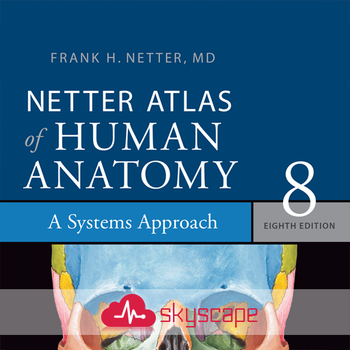 Human Anatomy Atlas