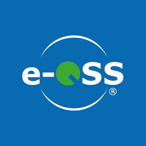 e-QSS