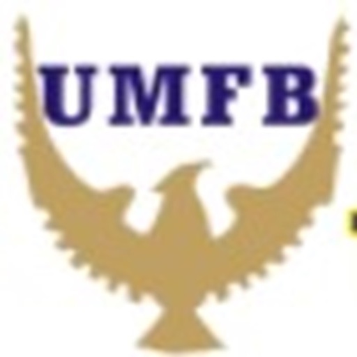 Unilorin MFB