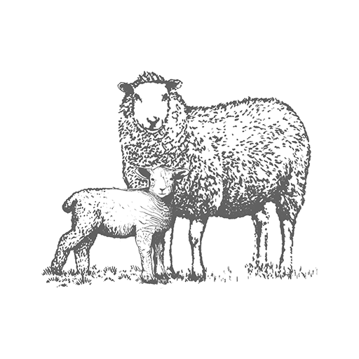 Lambing Planner