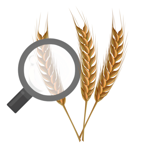 Gluten Spotter - Label Scanner