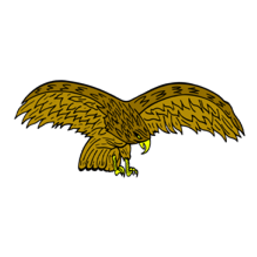 Eagle Taxi