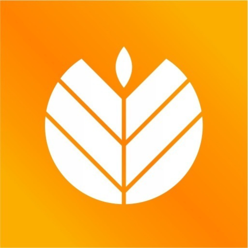 The Celiac App