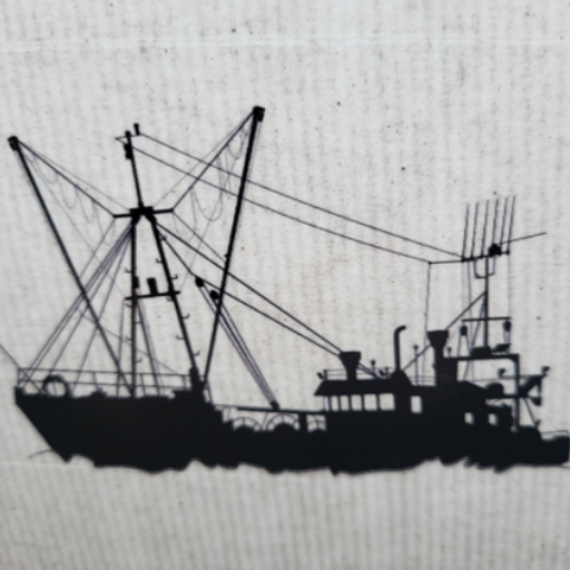 Brixham Taxis Ltd