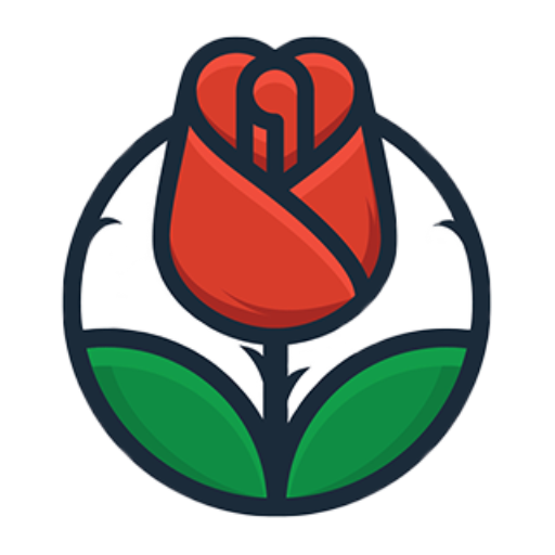 Red Rose Flowers Wallpapers HD