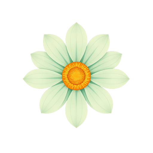 Bellis Beauty