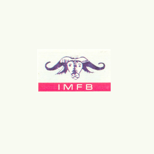 ILE-OLUJI MFB