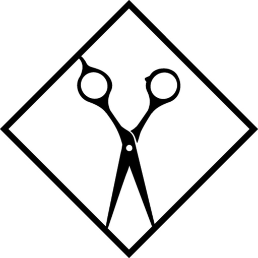 The Advanced Academy