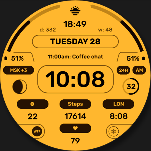 WFP 201 Informer watch face