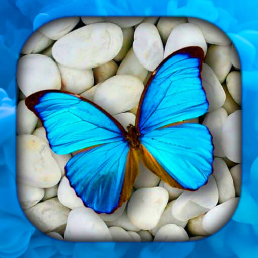 Butterfly Wallpaper Live HD/3D