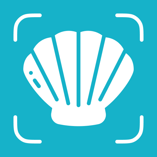 Seashell Identifier - Shellium