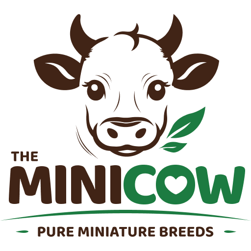 MiniCow