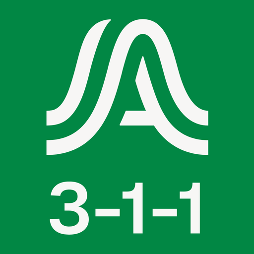 Austin 311