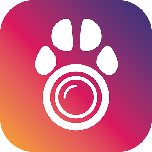 PetCam App - Dog Camera App