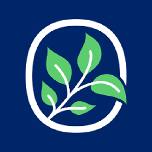 About Herbs