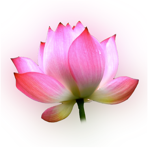 Sri Sri Meditations