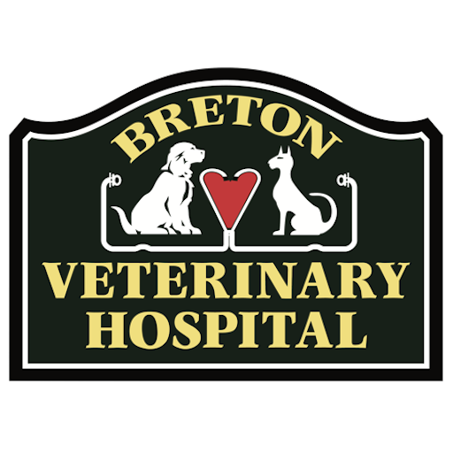 Breton Vet