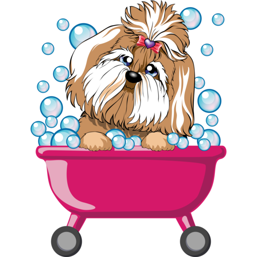 Pets Lounge