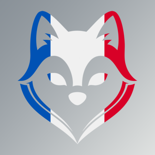 Erla: Learn French with AI