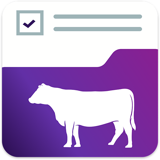 Prog. Beef Audit