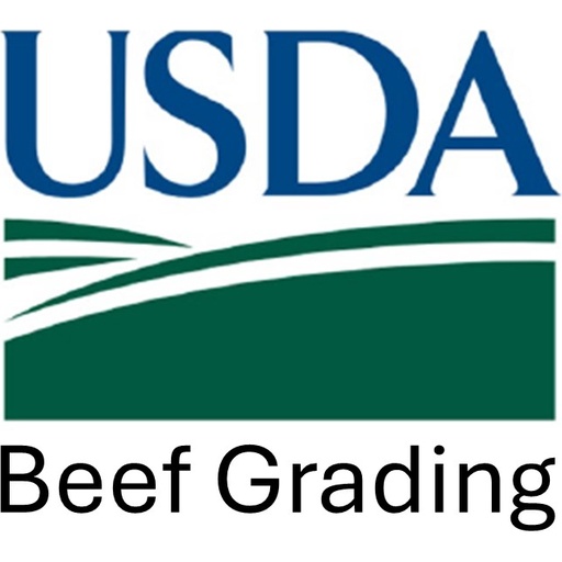 Beef Grading